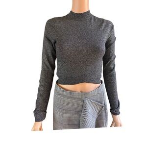 Express Sparkly Long Sleeve Crop Top